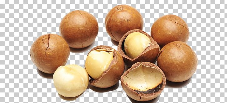 Macadamia Oil Australian Cuisine Nut Food PNG, Clipart, Australian Cuisine, Breakfast, Cake, Cooking, Corn Nut Free PNG Download