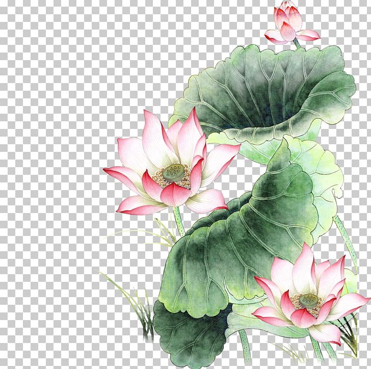 Nelumbo Nucifera Pink Icon PNG, Clipart, Annual Plant, Artificial Flower, Download, Encapsulated Postscript, Euclidean Vector Free PNG Download