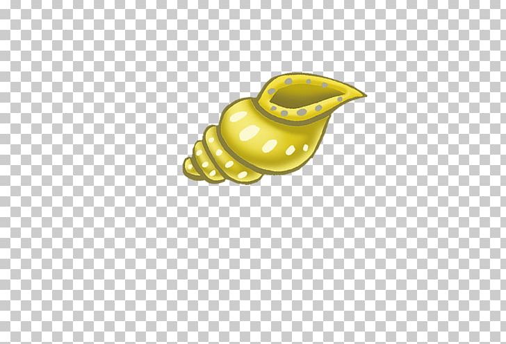 Sea Snail Conch Icon PNG, Clipart, Beach, Beach Elements, Cartoon, Cartoon Conch, Conch Free PNG Download