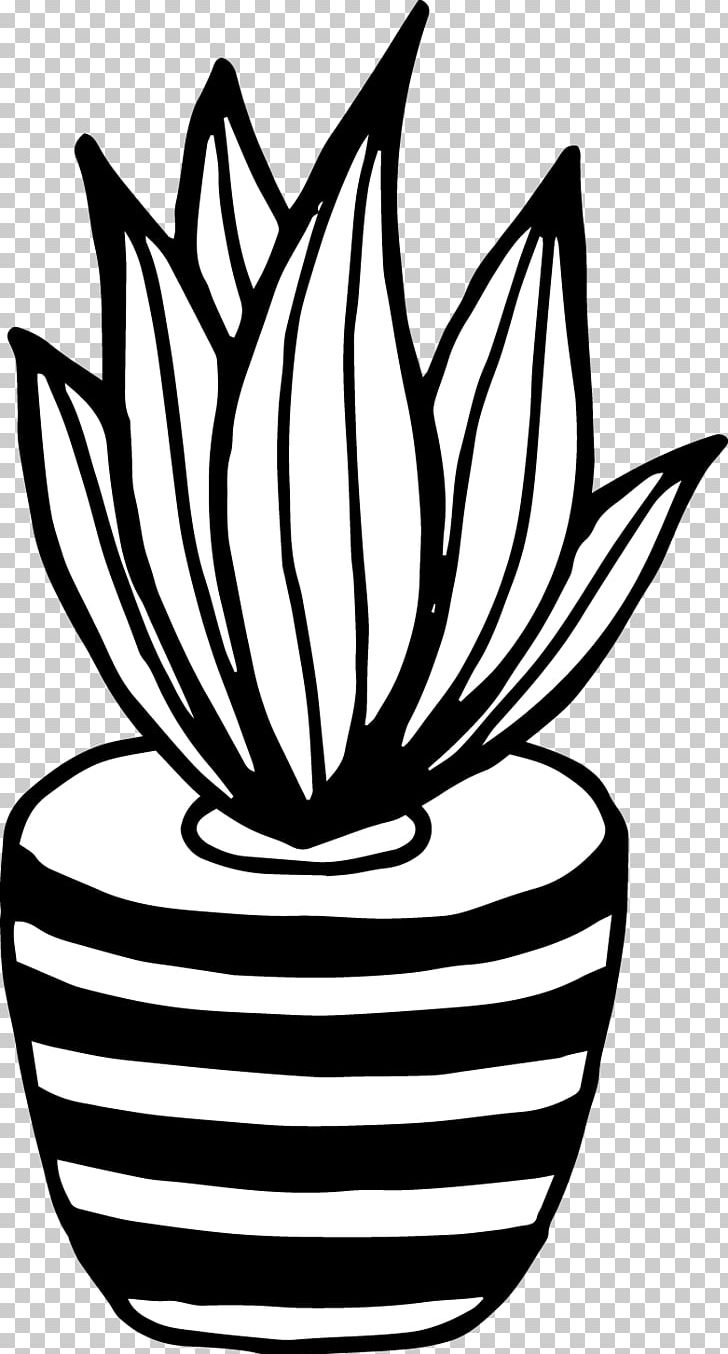 Black And White Cactaceae Drawing Art PNG, Clipart, Abstract Lines, Art, Artwork, Background Black, Black Free PNG Download