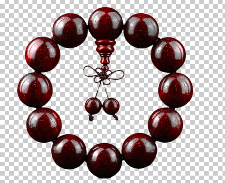 Magnolia Red Sandalwood Chain Color Jewellery PNG, Clipart, Bead, Beads, Beat, Brac, Bracelet Free PNG Download
