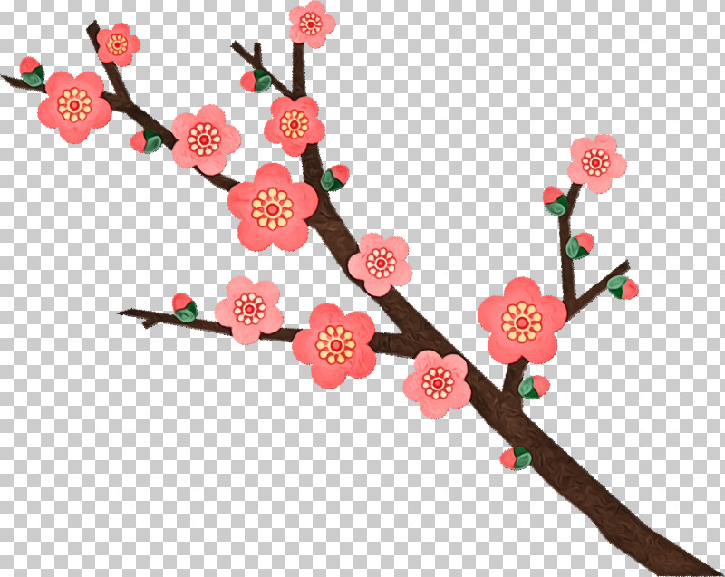 Cherry Blossom PNG, Clipart, Biology, Blossom, Cherry, Cherry Blossom, Floral Design Free PNG Download
