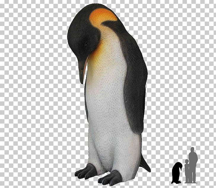 Emperor Penguin King Penguin PNG, Clipart, Animals, Aptenodytes, Beak, Bird, Chinstrap Penguin Free PNG Download