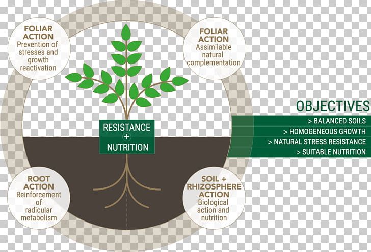 Rhizosphere Nutrient Tree Market Garden Nutrition PNG, Clipart, Arboriculture, Biostimulant, Brand, Foliar Feeding, Gardening Free PNG Download