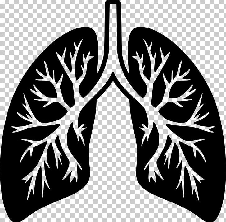 Scalable Graphics Portable Network Graphics Computer Icons Breathing File Format PNG, Clipart, Anatomy, Black And White, Branch, Breath, Breathe Free PNG Download