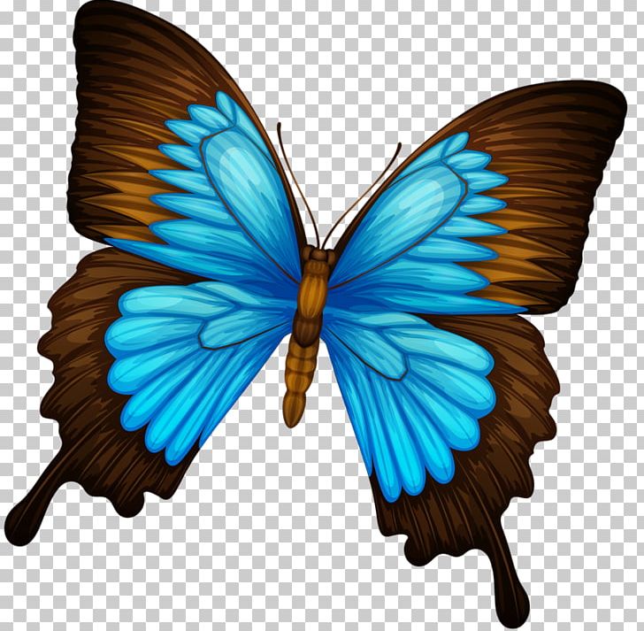Stock Photography PNG, Clipart, Art, Blue Butterfly, Brush Footed Butterfly, Butterfly, Desktop Wallpaper Free PNG Download