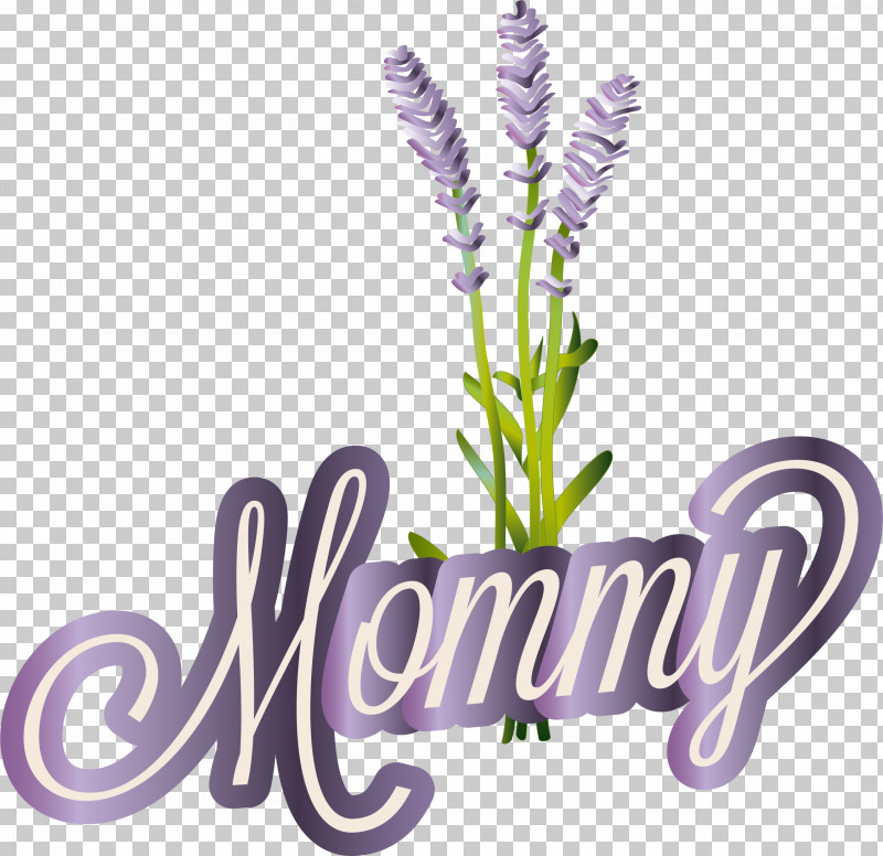 Lavender PNG, Clipart, Cartoon, Drawing, Flower, Lavender, Painting Free PNG Download