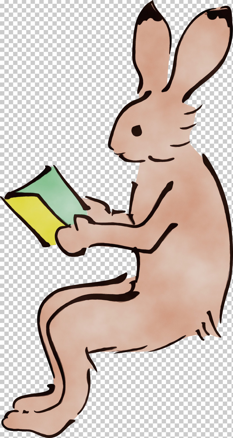 Hares Cartoon Tail Animal Figurine Rabbit PNG, Clipart, Animal Figurine, Biology, Book, Cartoon, Hm Free PNG Download