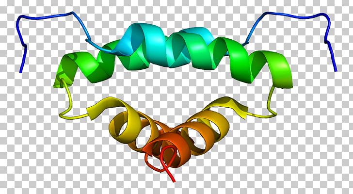 A-kinase-anchoring Protein AKAP13 Protein Kinase A Protein Subunit PNG, Clipart, Akap13, Artwork, Enzyme, Fusion Protein, Gene Free PNG Download