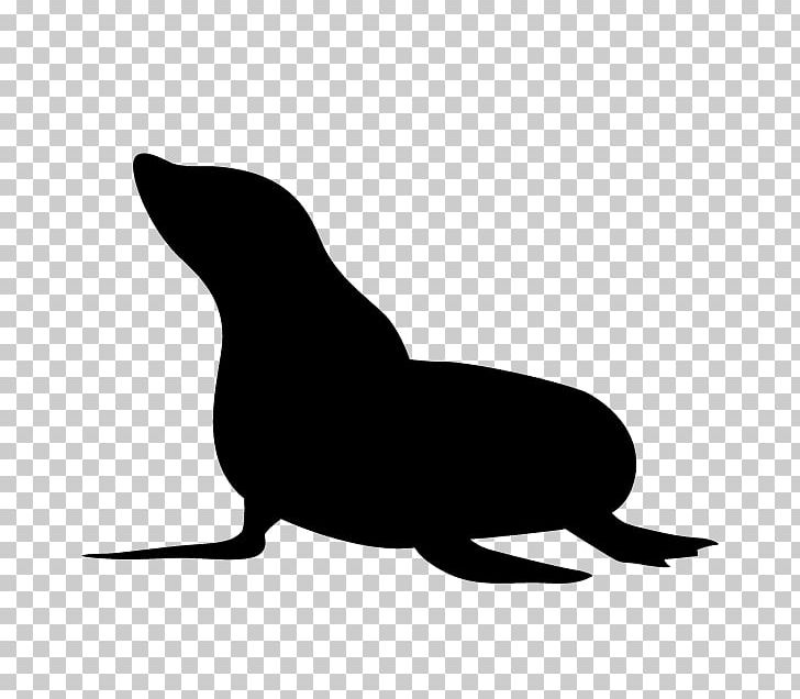 Sea Lion Earless Seal Silhouette Whiskers PNG, Clipart, Animal, Animal Illustration, Animals, Black, Black And White Free PNG Download