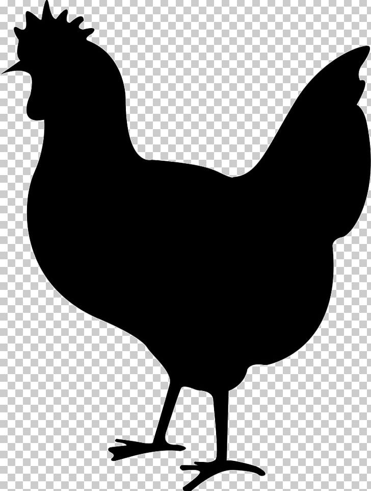 Silkie Chicken Meat Rooster PNG, Clipart, Animals, Autocad Dxf, Beak, Bird, Black And White Free PNG Download