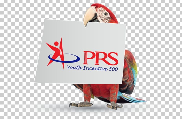 Retirement Private Pension Investment Employees Provident Fund PNG, Clipart, Advertising, Beak, Brand, Deposit Account, Dividend Free PNG Download