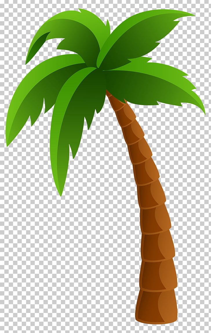 Arecaceae PNG, Clipart, Arecaceae, Arecales, Art, Cartoon, Clip Art Free PNG Download