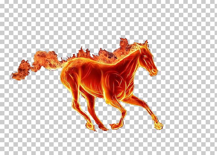 Mustang Portable Network Graphics Fire PNG, Clipart, Advertising, Animal Figure, Cavalo, Desktop Wallpaper, Developer Free PNG Download