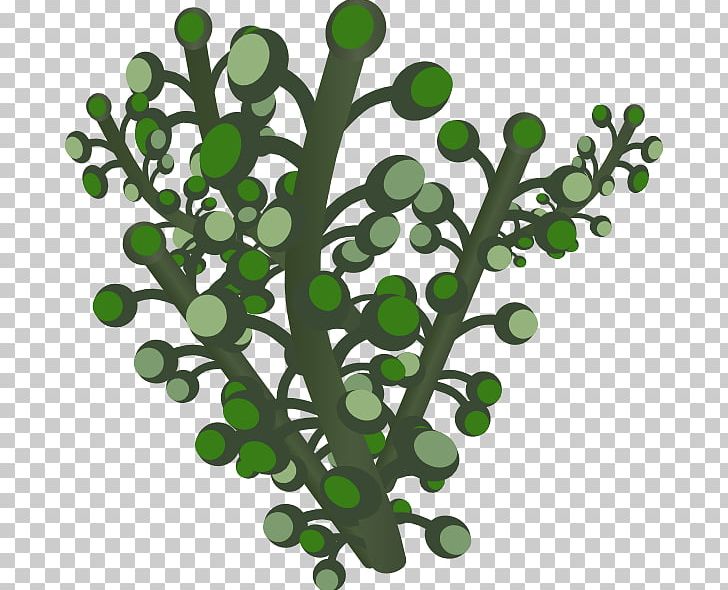 Leaf Branch Others PNG, Clipart, Branch, Display Resolution, Dots Per Inch, Leaf, Miscellaneous Free PNG Download