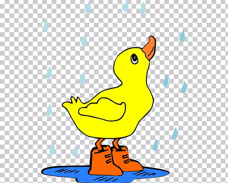 Duck Puddle Rain PNG, Clipart, Animals, Area, Art, Artwork, Beak Free PNG Download