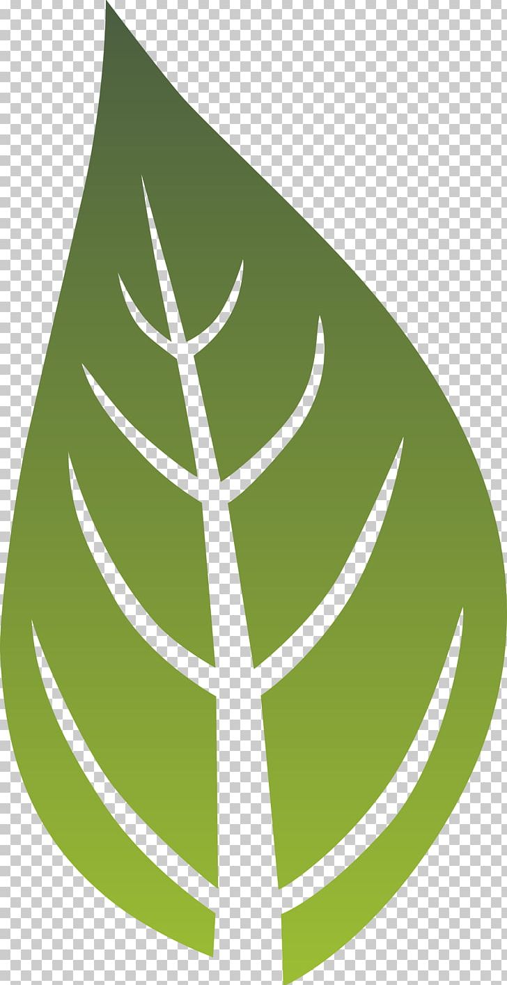 Logo Leaf Green Font PNG, Clipart, Flora, Grass, Green, Leaf, Line Free PNG Download