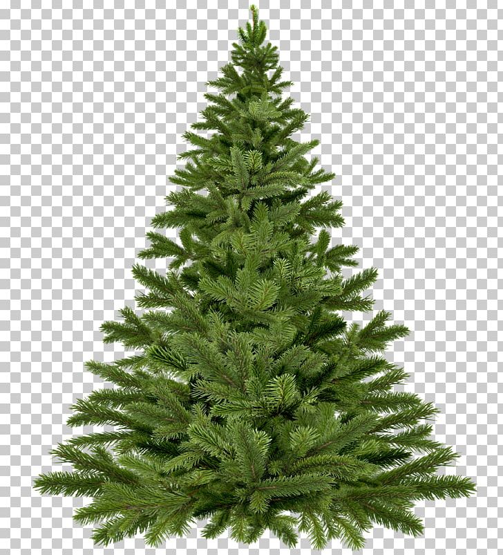 Artificial Christmas Tree Dowless Christmas Tree Farm PNG, Clipart, Artificial Christmas Tree, Christmas, Christmas Decoration, Christmas Ornament, Cypress Family Free PNG Download