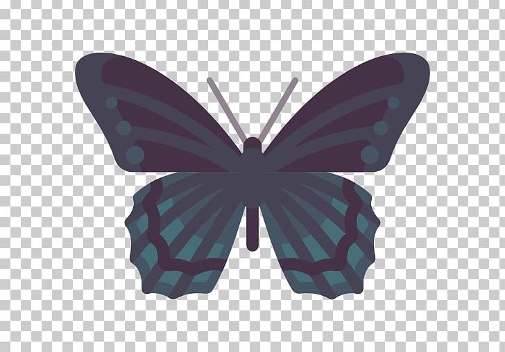 Brush-footed Butterflies Butterfly Symmetry PNG, Clipart, Arthropod, Brush Footed Butterfly, Butterfly, Butterfly Icon, Insect Free PNG Download