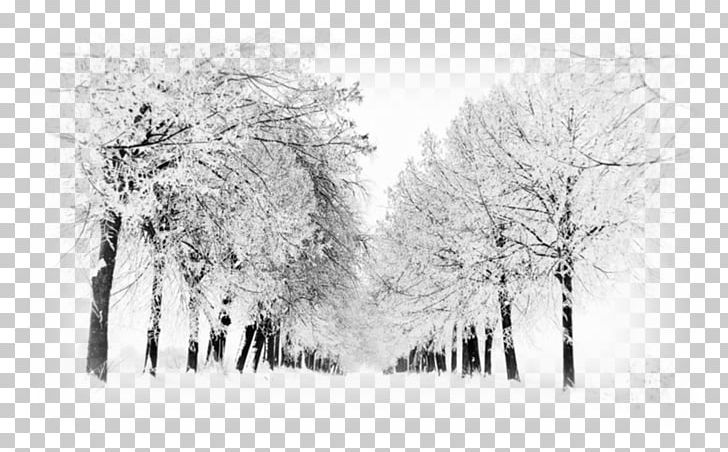 Snow Desktop Winter Group PNG, Clipart, 1080p, Artwork, Black And White, Blizzard, Branch Free PNG Download