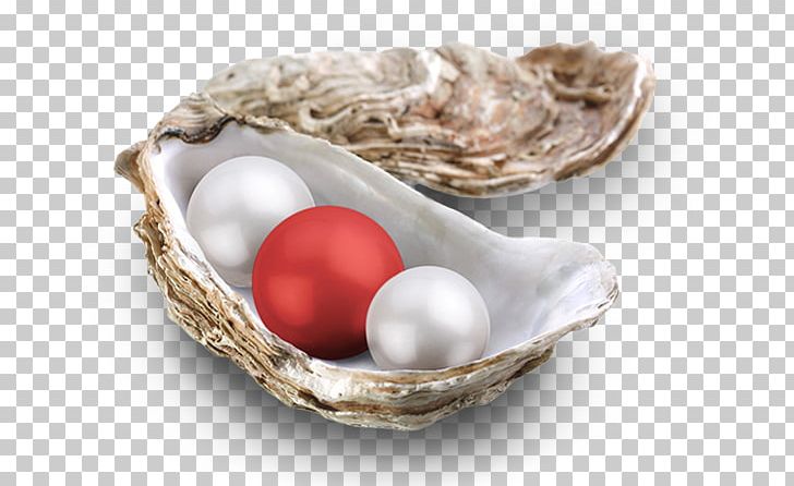 Oyster Clam Pearl Mask Egg PNG, Clipart, Animal Source Foods, Clam, Clams Oysters Mussels And Scallops, Dishware, Egg Free PNG Download