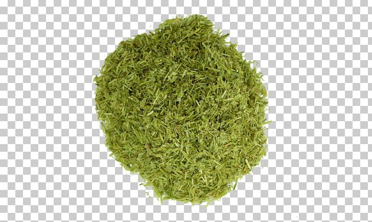 Sencha Matcha Green Tea Powder PNG, Clipart, Aonori, Biluochun, Caffeine, Catechin, Chawan Free PNG Download