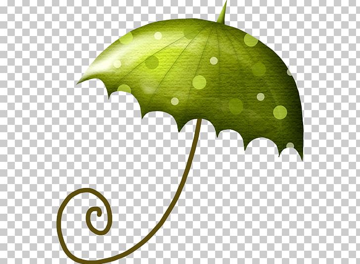 Umbrella PNG, Clipart, Clip Art, Computer Icons, Fairy Tale, Green, Jamais Sans Mon Parapluie Free PNG Download