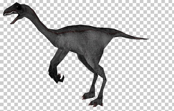 Velociraptor Carnivores 2 Australovenator Mod DB PNG, Clipart, Animal Figure, Australovenator, Carnivore, Carnivores, Carnivores 2 Free PNG Download
