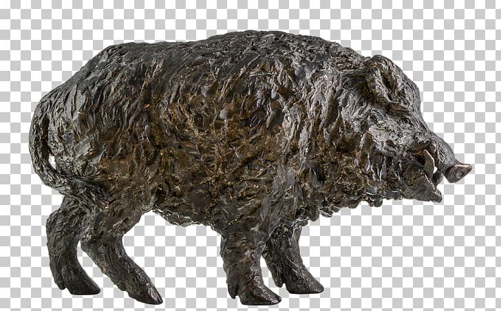 Wild Boar Peccary Black Forest Horse Semantic Scholar Evolution PNG, Clipart, Animal, Animal Figure, Biology, Black Forest Horse, Cattle Like Mammal Free PNG Download
