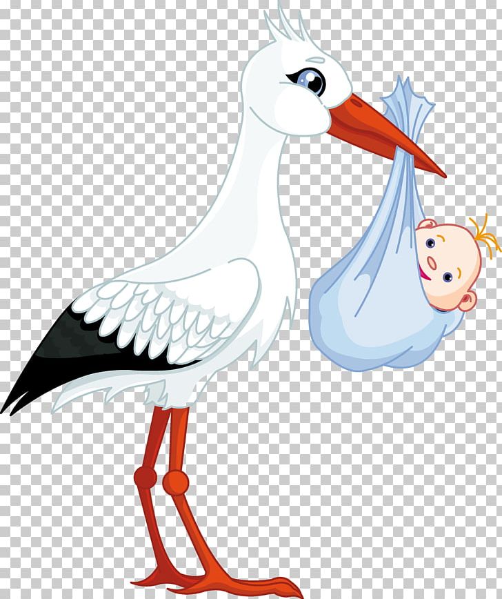 Ciconia Infant Stock Photography PNG, Clipart, Art, Artwork, Beak, Bird, Boy Free PNG Download