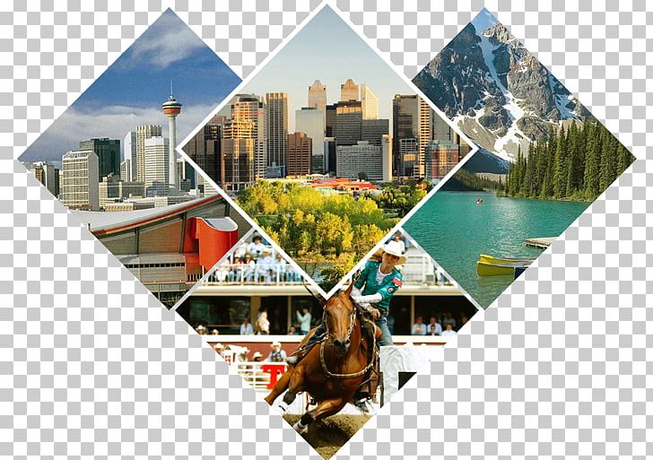 Downtown Calgary Collage Real Estate Tourism PNG, Clipart, Calgary, Canada, Collage, Downtown Calgary, Real Estate Free PNG Download