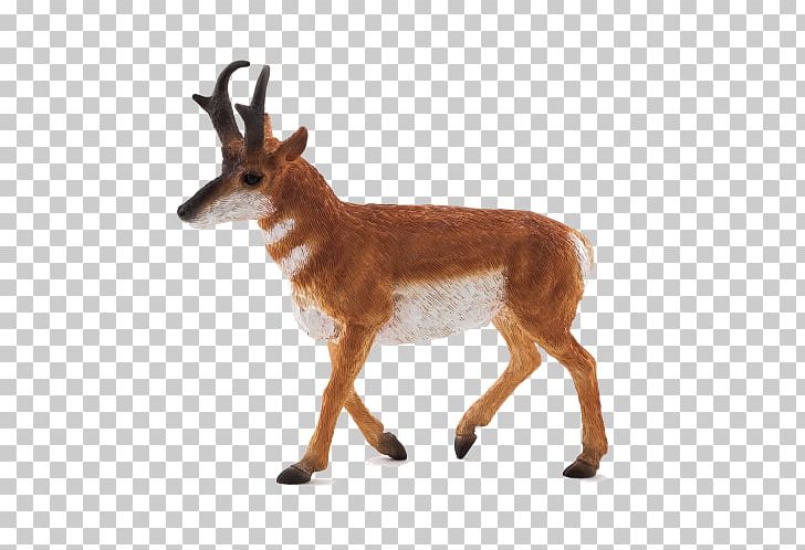 Pronghorn Antelope Impala Wildlife Gazelle PNG, Clipart, Animal, Animal Figure, Animal Figurine, Animal Planet, Animals Free PNG Download