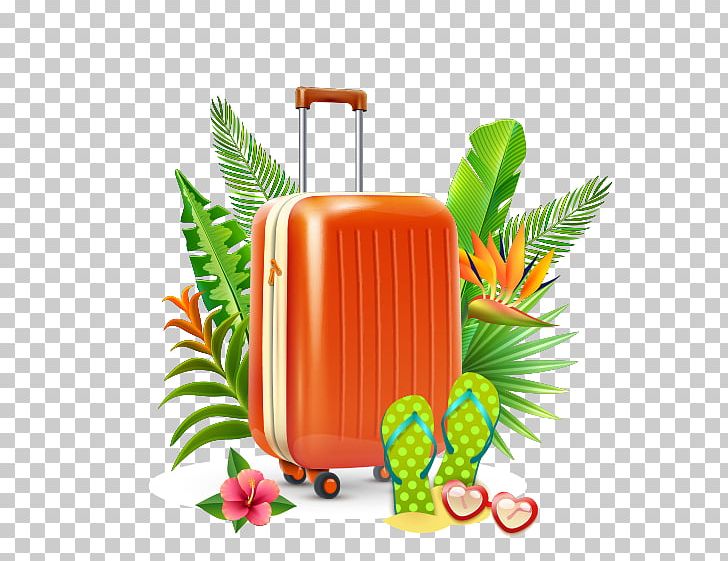 Summer Vacation Holiday PNG, Clipart, Beach, Clothing, Computer Icons, Encapsulated Postscript, Flip Free PNG Download
