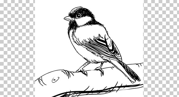 House Sparrow Passer domesticus  Geometric bird Beautiful birds Bird  sketch