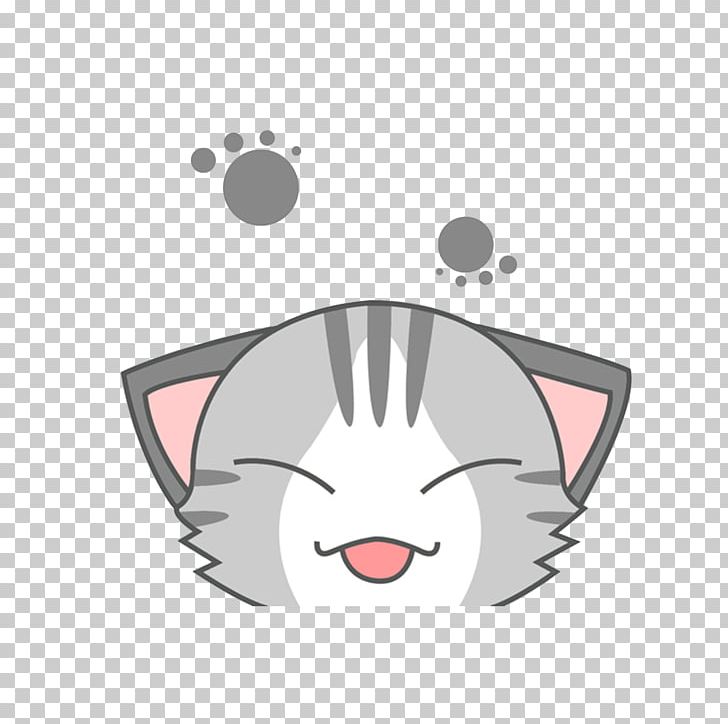 gray cat avatar