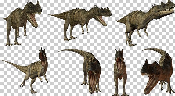 Dinosaur Tyrannosaurus Taobao Megasaurus Child PNG, Clipart, Animal, Carnivoran, Child, Constructeur, Digital Image Free PNG Download