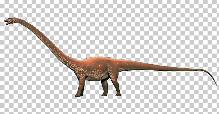 Diplodocus Velociraptor Brachiosaurus Dinosaur Sauropoda PNG, Clipart, Animal Figure, Background, Brachiosaurus, Dinosaur, Diplodocid Free PNG Download