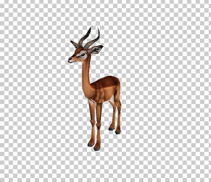 Impala Gazelle Reindeer Terrestrial Animal PNG, Clipart, Animal, Animal Figure, Antelope, Antler, Chevrolet Impala Free PNG Download