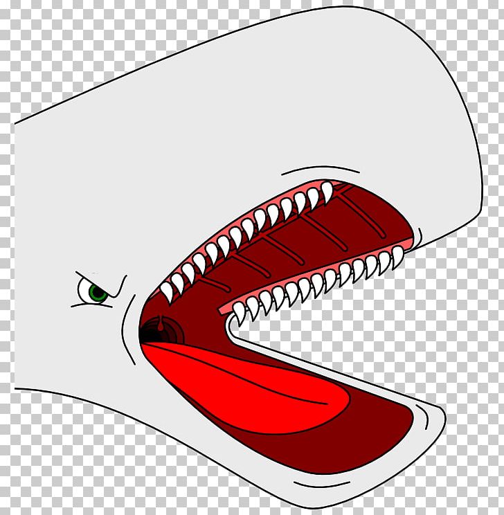 Whale Cartoon Drawing PNG, Clipart, Animation, Area, Art, Beluga Whale, Cartoon Free PNG Download