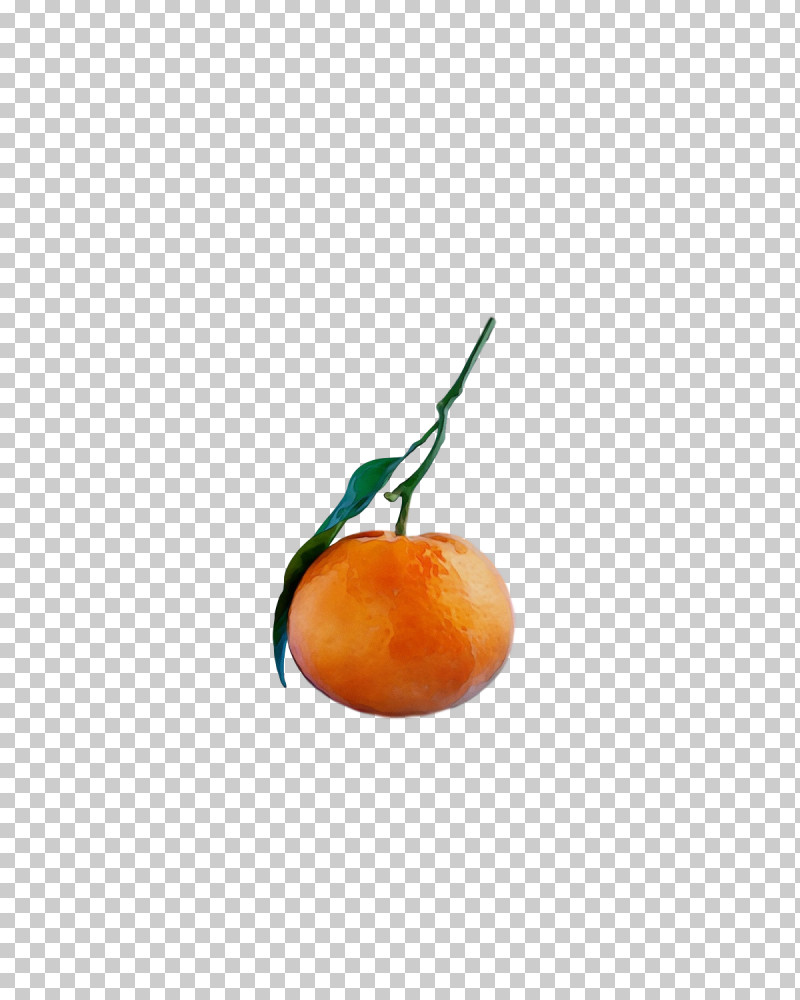 Orange PNG, Clipart, Bitter Orange, Clementine, Fruit, Grapefruit, Orange Free PNG Download