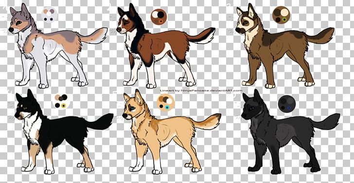 can a akita and a rough collie be friends