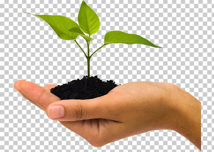 Donation Community Foundation Plant Funding PNG, Clipart, Alternative Medicine, Annual Giving, Business, Charitable Organization, Community Free PNG Download