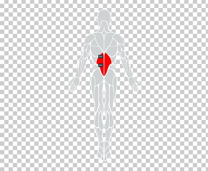Shoulder Muscle Hip Neck PNG, Clipart, Arm, Character, Costume Design, Fiction, Fictional Character Free PNG Download