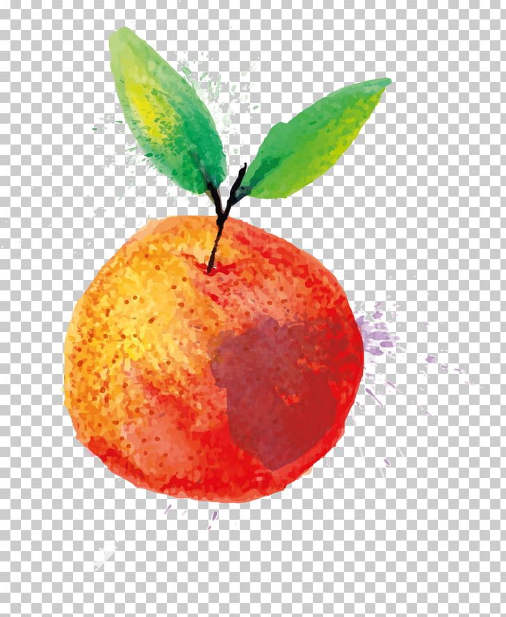 Watercolor Painting PNG, Clipart, Apple, Citrus, Computer Monitors, Computer Wallpaper, Desktop Wallpaper Free PNG Download