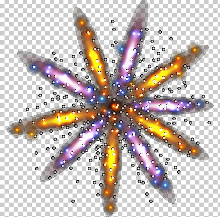 Fireworks Firecracker PNG, Clipart, Beautiful, Beautiful Fireworks, Beauty, Beauty Salon, Celebration Free PNG Download