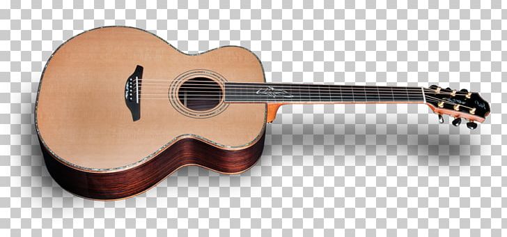 Acoustic Guitar Acoustic-electric Guitar Tiple Cavaquinho PNG, Clipart, Acousticelectric Guitar, Acoustic Electric Guitar, Acoustic Music, Bass Guitar, Cavaquinho Free PNG Download