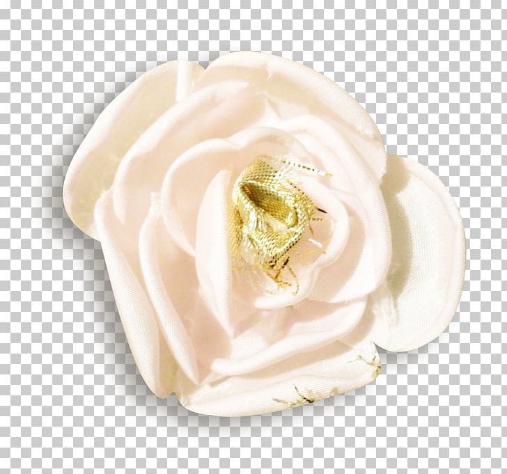 Garden Roses Cut Flowers Petal PNG, Clipart, Beige, Clothing Accessories, Cut Flowers, Deco, Flower Free PNG Download