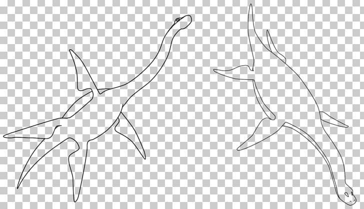 Line Art Sketch PNG, Clipart, Arm, Art, Artwork, Bird, Black And White Free PNG Download