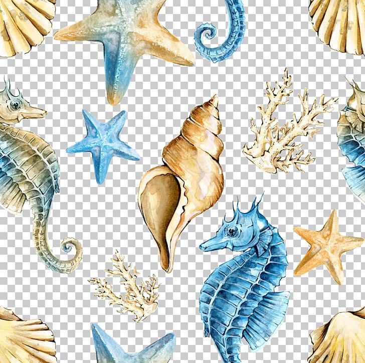 Seahorse Shellfish PNG, Clipart, Angry, Angry Man, Blue, Creatures, Download Free PNG Download