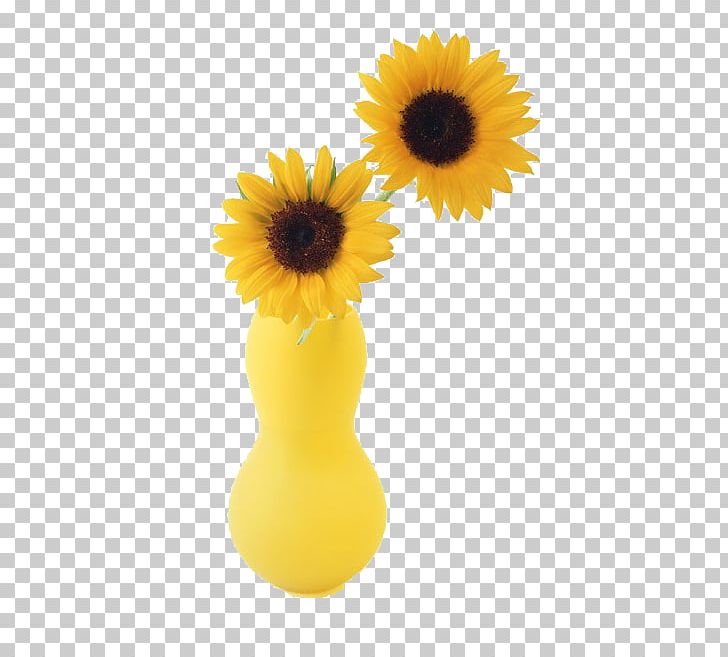 Two Cut Sunflowers Common Sunflower Vase PNG, Clipart, Common Sunflower, Daisy Family, Flower, Flowerpot, Flowers Free PNG Download